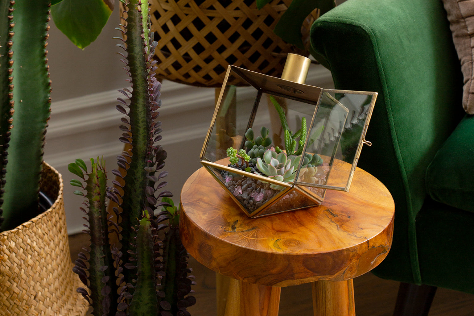 Glass and gilded metal dreidel terrariums for Hanukkah and Jewish decorations