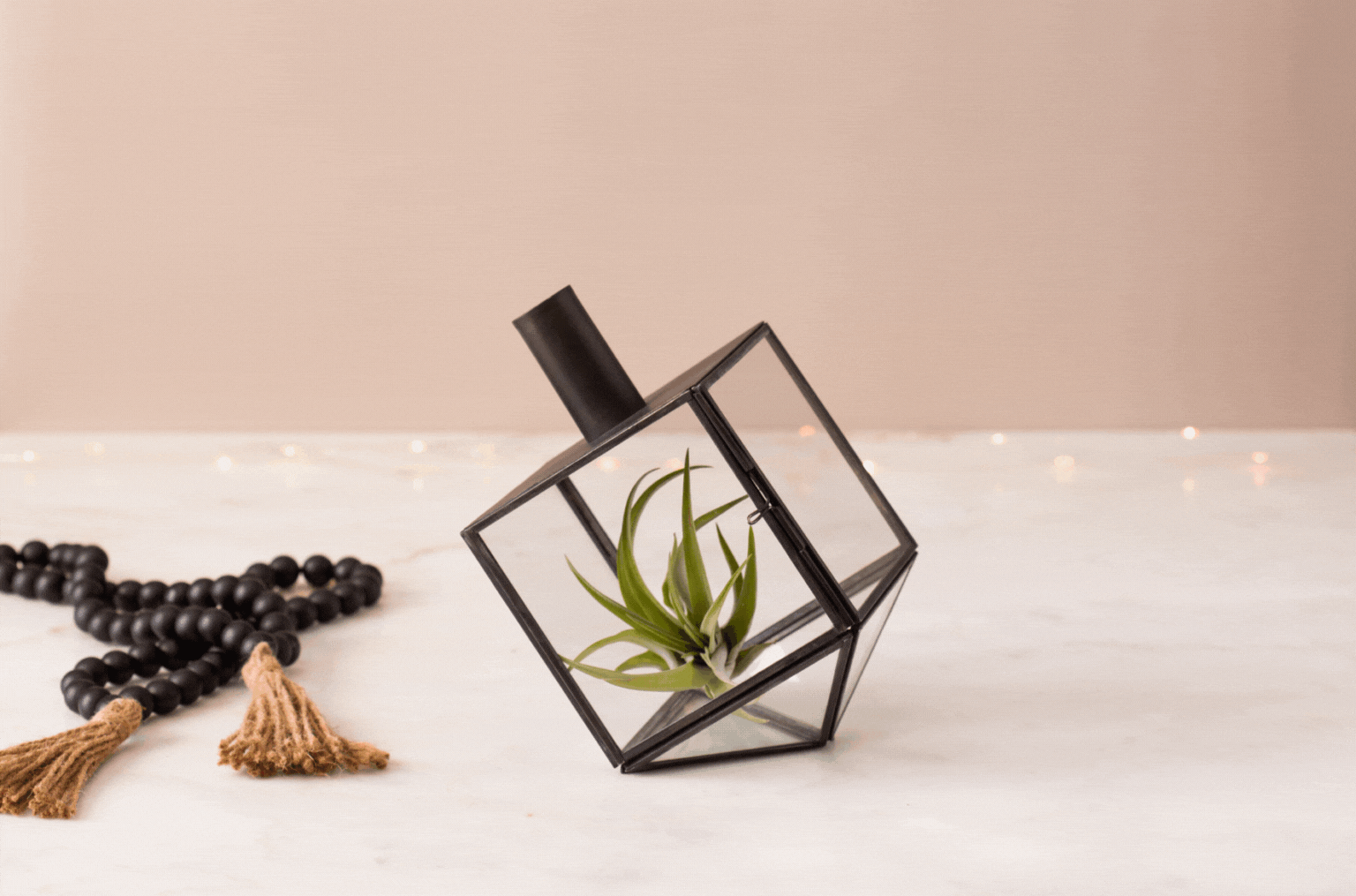 Adara Shop All Products