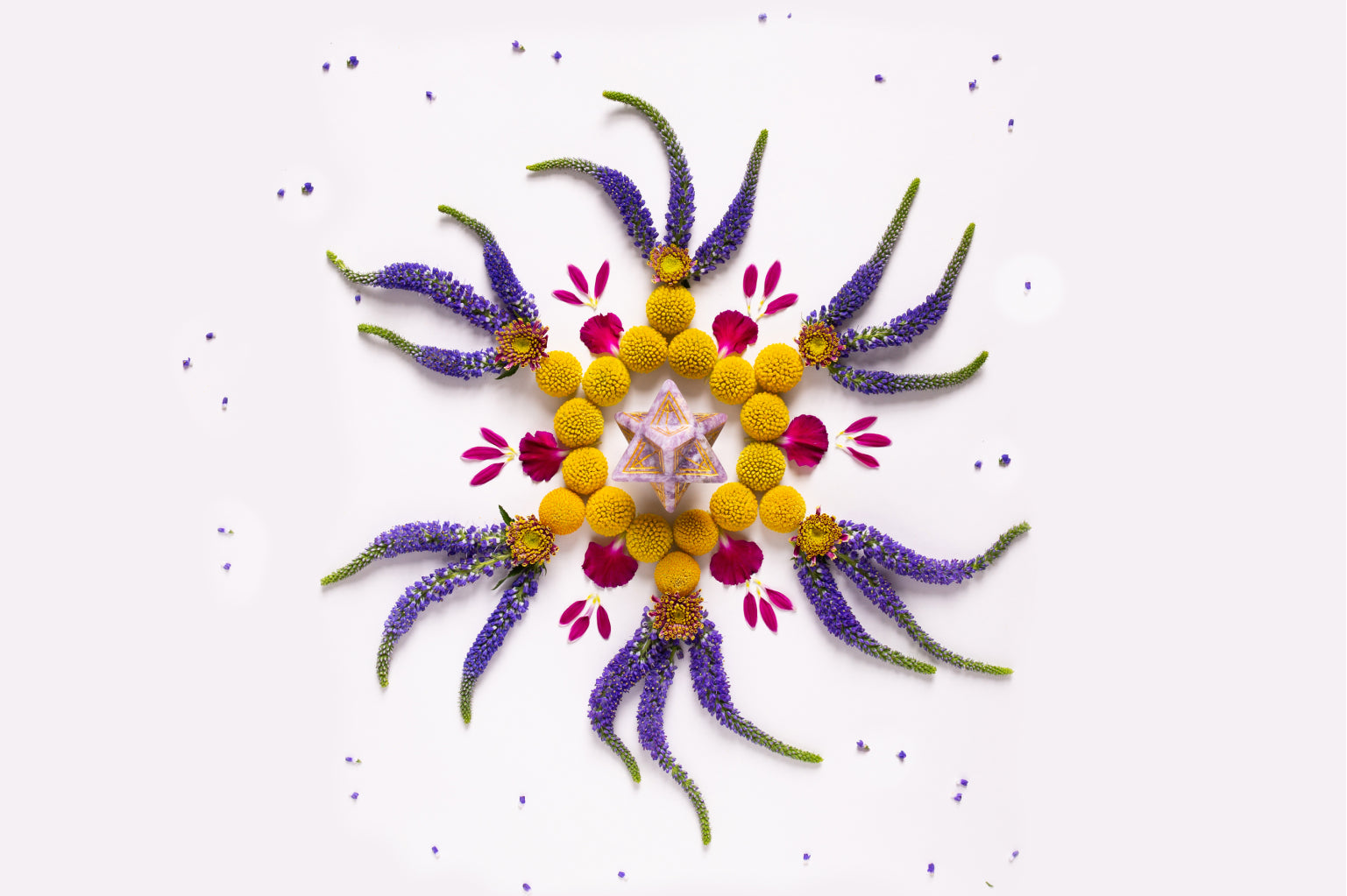 Seraphina Merkaba - Lepidolite 3D Star of David